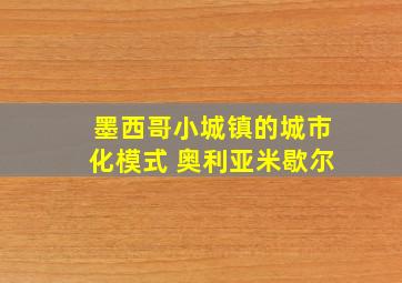 墨西哥小城镇的城市化模式 奥利亚米歇尔